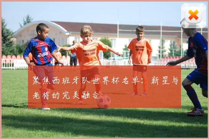 聚焦西班牙队世界杯名单:新星与老将的完美融合