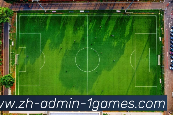 壹号体育平台生态图